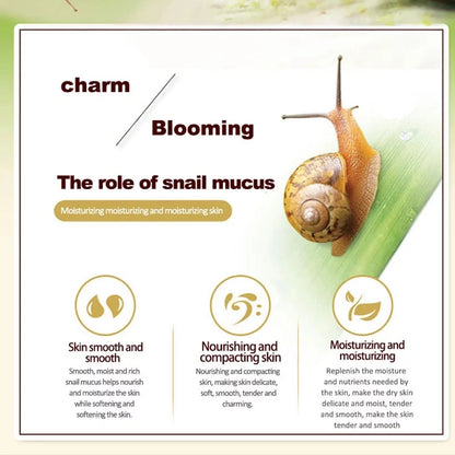 Snail Cream: Your Skin's Secret Weapon